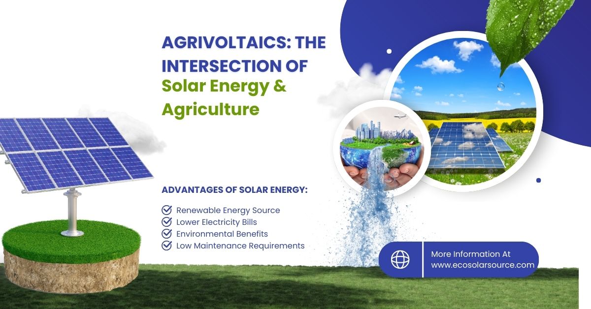 Agrivoltaics: The Intersection Of Solar Energy & Agriculture